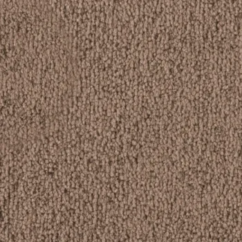 Preview: Vorwerk Safira Teppichboden Farbcode 1Q04 – Draufsicht ohne Etikett